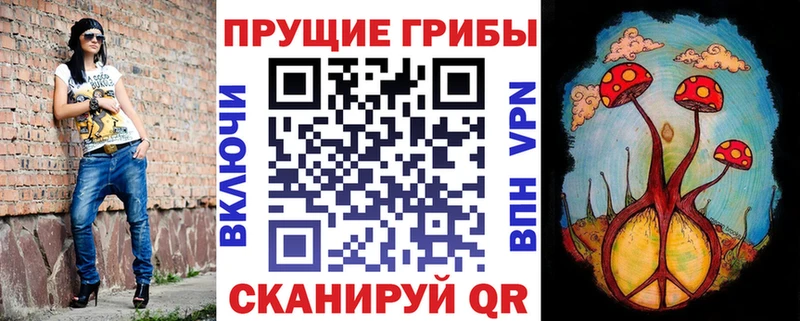 Псилоцибиновые грибы ЛСД Высоковск